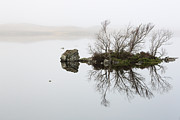 Rannoch Moor Mist Photograph by Grant Glendinning