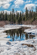 Reflection Photograph by Linda Ryma