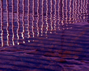 Reflection Photograph by Rona Black