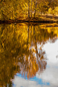 Reflections of Autumn Photograph by Mary Jo Allen