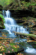 Ricketts Glen Hidden Waterfall Photograph by Crystal Wightman