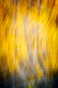 Running Naked Through a Forest Fire - Abstract Photograph Photograph by Duane Miller