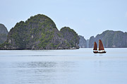 Sailing junk boats in Halong Bay Photograph by Sami Sarkis Photography