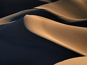 Sinuous Dunes Photograph by Joe Schofield