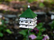 Small World - A Matter of Scale Photograph by Richard Reeve