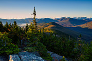Standing Tall On Mt. Crawford Photograph by Jeff Sinon