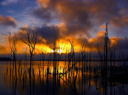 Sunrise Photograph by Raymond Salani III