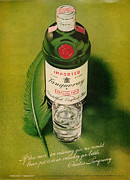 Tanqueray Gin Digital Art by Georgia Clare