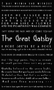 The Great Gatsby Quotes Photograph by Georgia Clare