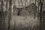 The House in the Woods Photograph by Mary Lee Dereske