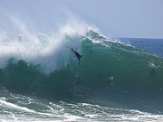 Thinking it Through Photograph by Joe Schofield