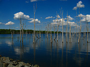 Tranquility II Photograph by Raymond Salani III