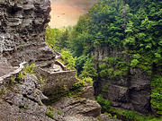 Treman Trail Photograph by Jessica Jenney