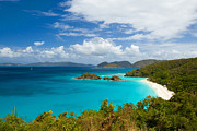 Trunk Bay Photograph by Lisa Chorny