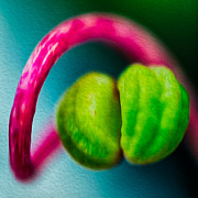 Twisted Beauty Painting by Omaste Witkowski