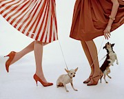 Two Models With Dogs Photograph by William Bell