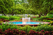 Verdant Garden Photograph by Jeff Sinon