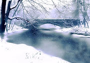 Winter Haiku Photograph by Jessica Jenney