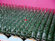 You are One in a Million Photograph by Richard Reeve