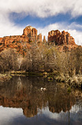 Cathedral Rock Reflections Portrait 1 Photograph by Darcy Michaelchuk
