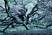 Charleston's Angel Oak Tree IR Photograph by Louis Dallara