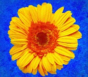 Daisy Painting by Jeffrey Kolker