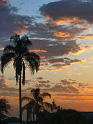 Ellery Sunrise Photograph by Joe Schofield