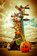 Jack O' Lantern Fishing Off Egg Harbor Marina Photograph by Duluth To Door County Photography
