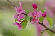 Redbud Branch Painting by Jeffrey Kolker