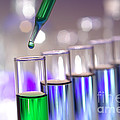 Laboratory Test Tubes in Science Research Lab #17 by Science Research Lab