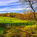 Fall Colors Horse Farm
