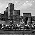 Baltimore Harbor Skyline Panorama BW Photograph by Susan Candelario