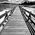 Black and White Bridge by Crystal Wightman