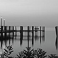 Black and White Dock Photograph by Crystal Wightman