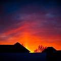 Dark Sunset