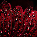 due to the dew