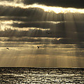 Dusk on Pacific