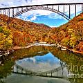 Flaming Fall Foliage At New River Gorge