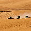 Follow The Leader