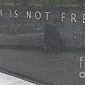 Freedom Is Not Free Photograph by Steven Ralser