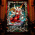 In the heavens by C Thomas Cooney