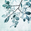 leaves in dusty blue