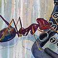 A is for Ant Painting by Marie Stone-van Vuuren
