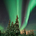 Magic winter night by Priska Wettstein