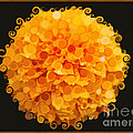 Marigold Magic Abstract Flower Art