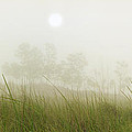 Morning Fog On The Dunes Photograph by Owen Weber