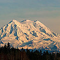 Mt Rainier Winter Panorama Photograph by Mary Jo Allen