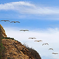 Palos Verdes Octet