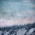 pastel skies