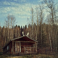 robert service cabin